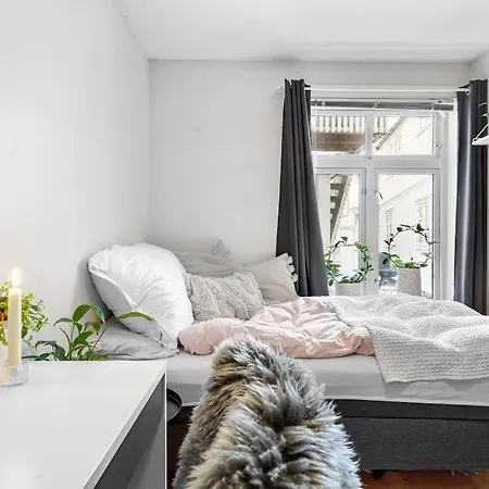 Big & Cozy 4 Bedroom In Center Apartament *
