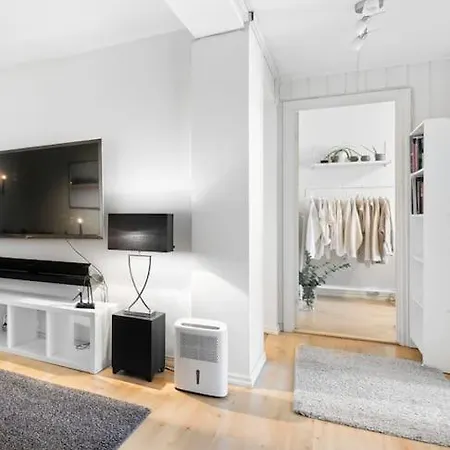 Big & Cozy 4 Bedroom In Center Trondheim